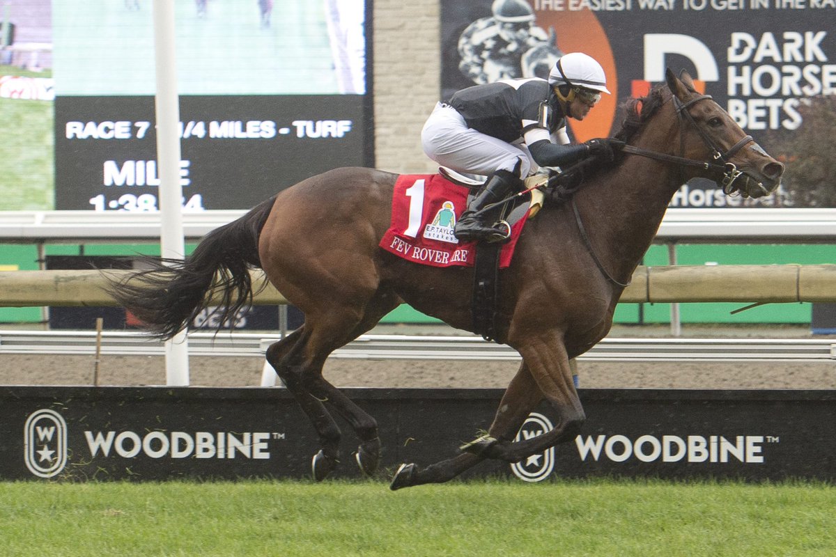 Fev Rover (IRE) is the Sovereign Award winner for Canadian Horse Of the year! The Mark Casse trained mare captured the E.P Taylor Stakes (G1) @WoodbineTB!