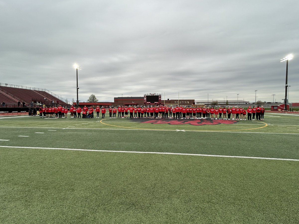 Year 1, Year 2, Year 3, Year 4