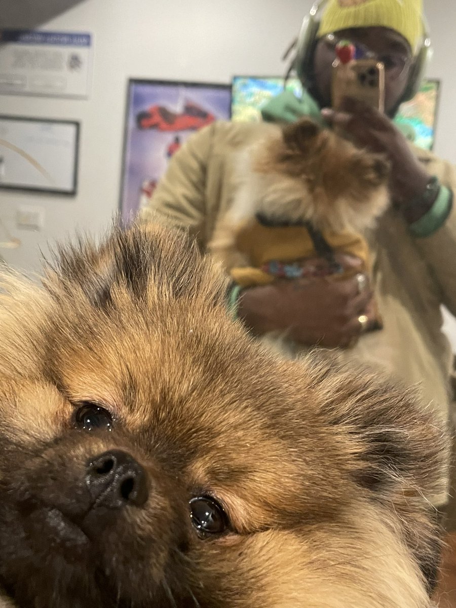 Melanated Seth Rogen tweet media