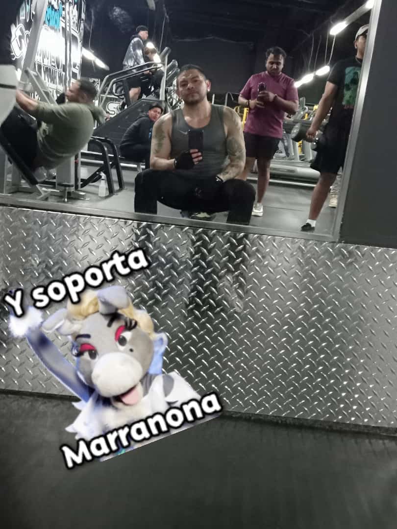 MarkCastellan18's tweet photo. Viene algo mejore esperenlo 🔥🔥💪💪 https://t.co/cVe63MwYqZ