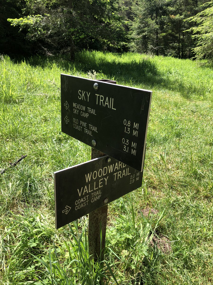 Jacob Rydman tweet media