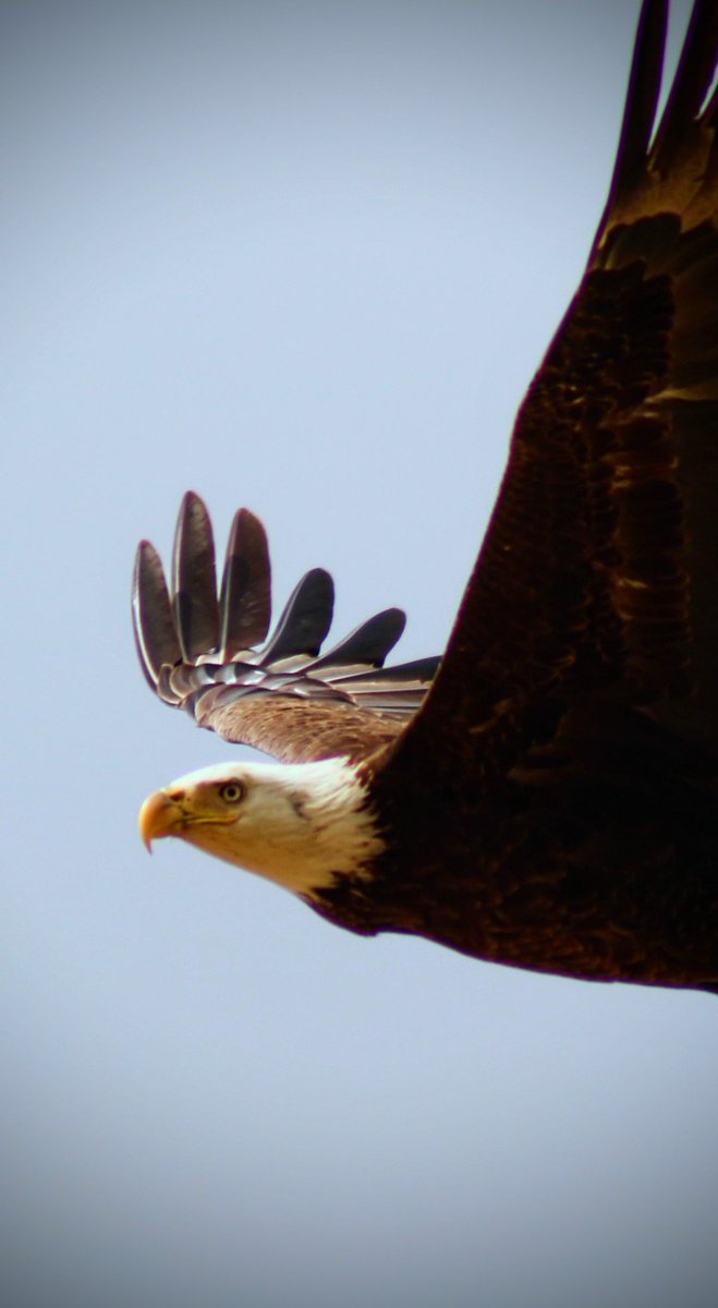 In flight...