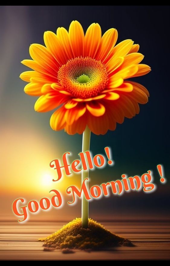 Ritu_i0's tweet photo. सुप्रभात 🙏
आपका दिन शुभ हो 💞 https://t.co/I7wOBjh7JQ