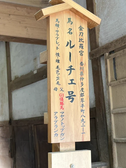 サラブレッド(不在)餌を要求してる道産子クソデケェプロペラ 