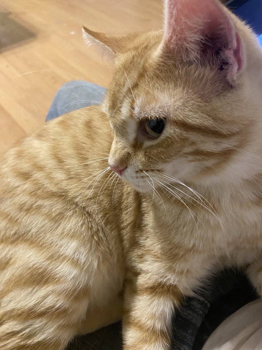 Shannon Minter tweet media