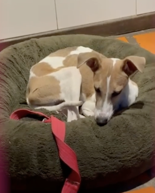 TE AMO ARTURO 
#GranHermano