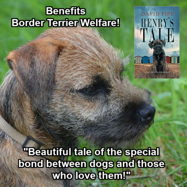 If you love dogs and doggy humour, you absolutely MUST READ Henry's Tale by David Pipe @dfpwriter Benefits @BTWelfare getbook.at/Henry First Chapter Free here! bit.ly/DFPHenry #MustRead #BooksWorthReading #WritingCommunity #doglovers