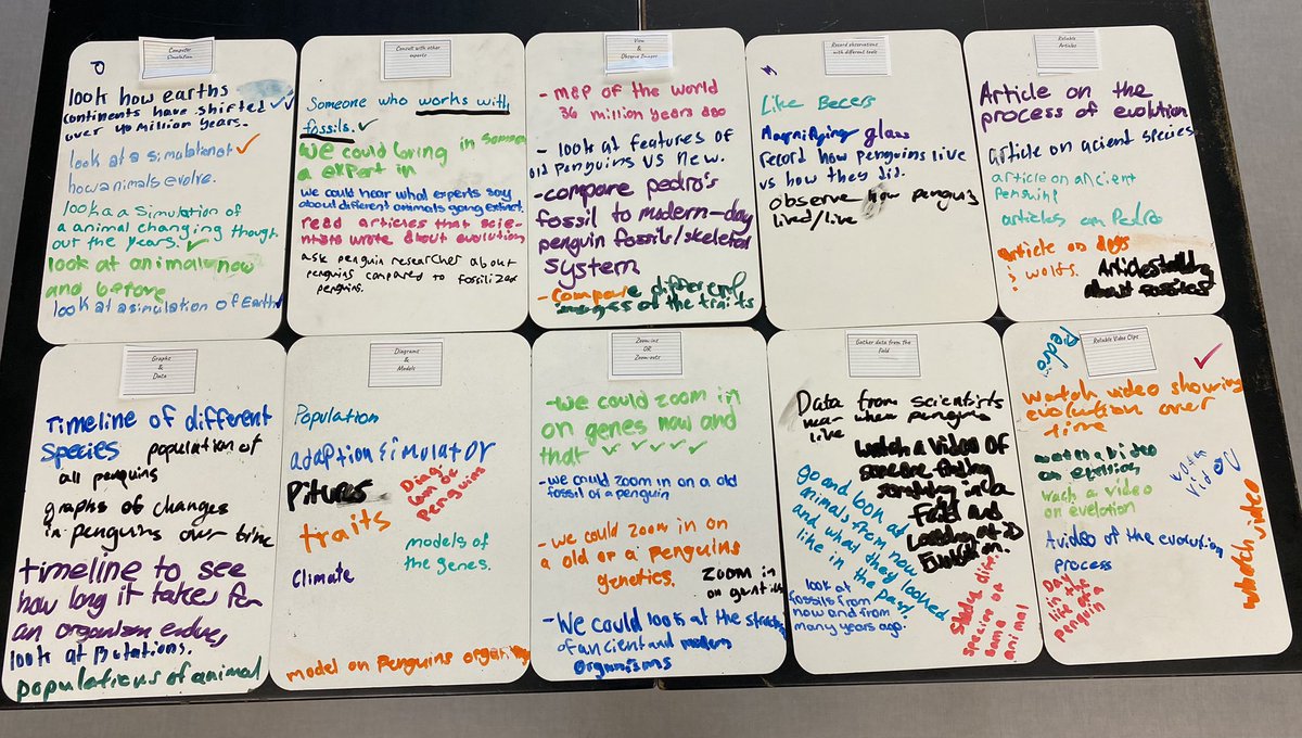 After 2 yrs w/some of these 7th graders, we launched our final unit of the year!  ❓came in 💪🏼 &amp; Ss whiteboarded investigation ideas to make things feel fresh at this time of year! 🐧 🧬<a href="/OpenSciEd/">OpenSciEd</a>
