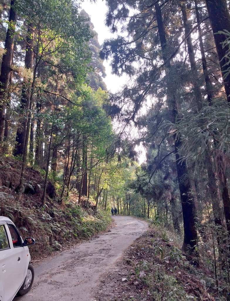 Heart in the hills #Kurseong #photooftheday #photoofthedaybydeepanwita @KurseongP