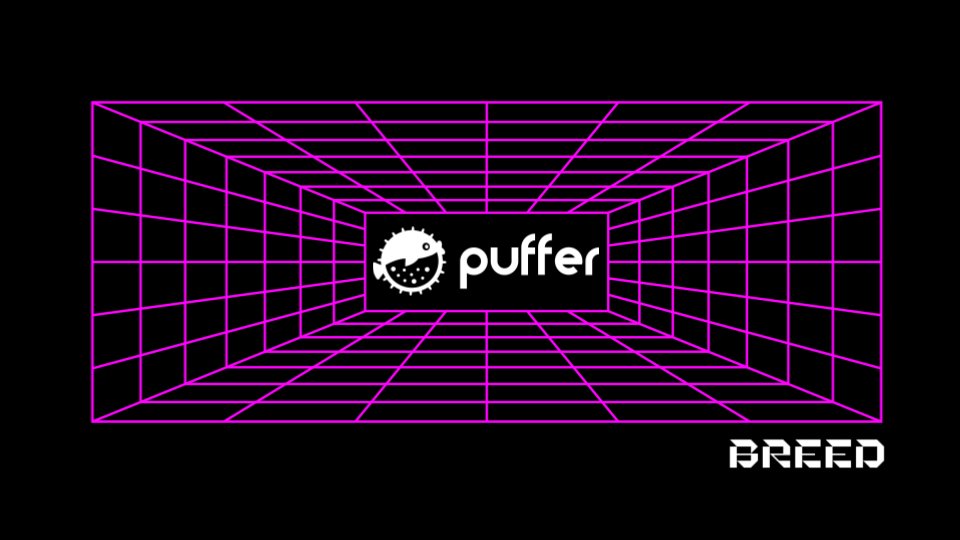 1/3 Breed is thrilled to back @puffer_finance, set to revolutionize Ethereum validation with its restaking modules. Puffer's unique approach allows stakers to maximize returns while minimizing risks. twitter.com/puffer_finance…