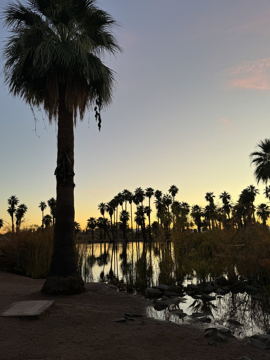 Sad to see the Coyotes moving to Utah. Tempe was one of my favorite stops this season. Good vibes, great food and yeah, I actually liked the cozy confines of Mullett Arena.