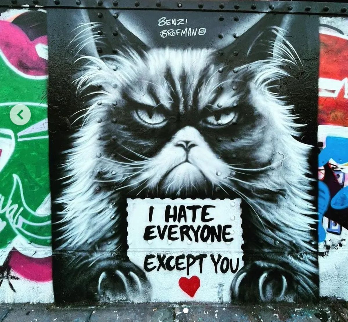 'I HATE EVERYONE EXCEPT YOU'
Artist: BenziBrofman ♥️
#StreetArt #art #urbanart  #mural  #photography #IsraelIranWar #catlovers #cats #CatsOnX #FridayVibes