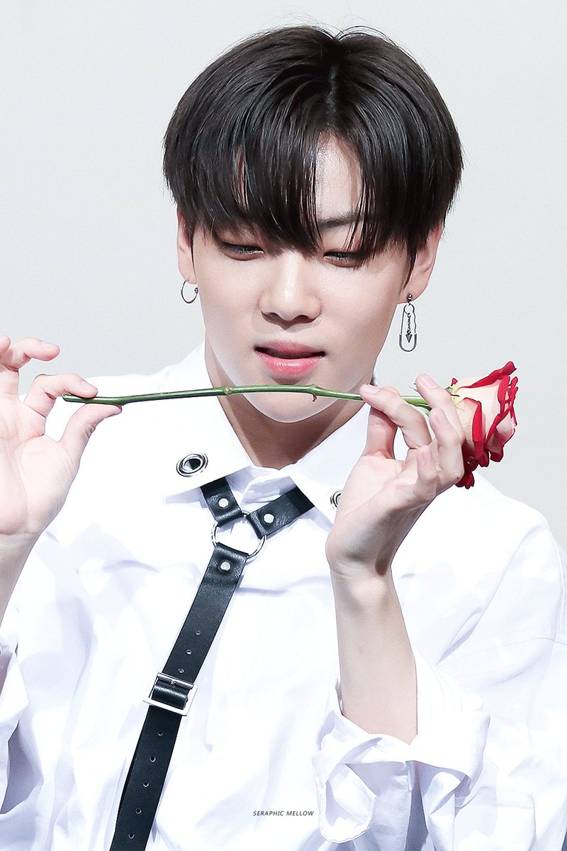 seraphicmellow's tweet photo. 🌹

#이션 #이창윤 #ETION 
#ONF #ONOFF #온앤오프 https://t.co/CcQRtVrEK3