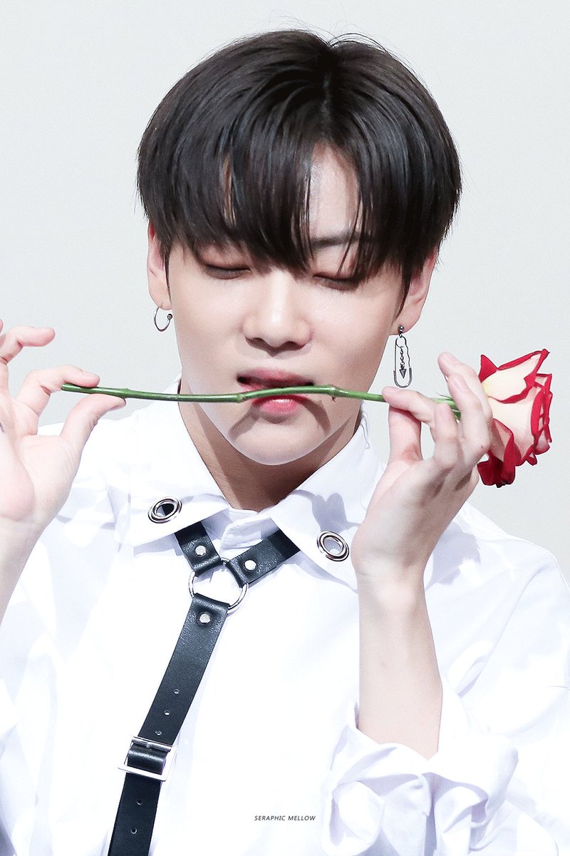 seraphicmellow's tweet photo. 🌹

#이션 #이창윤 #ETION 
#ONF #ONOFF #온앤오프 https://t.co/CcQRtVrEK3
