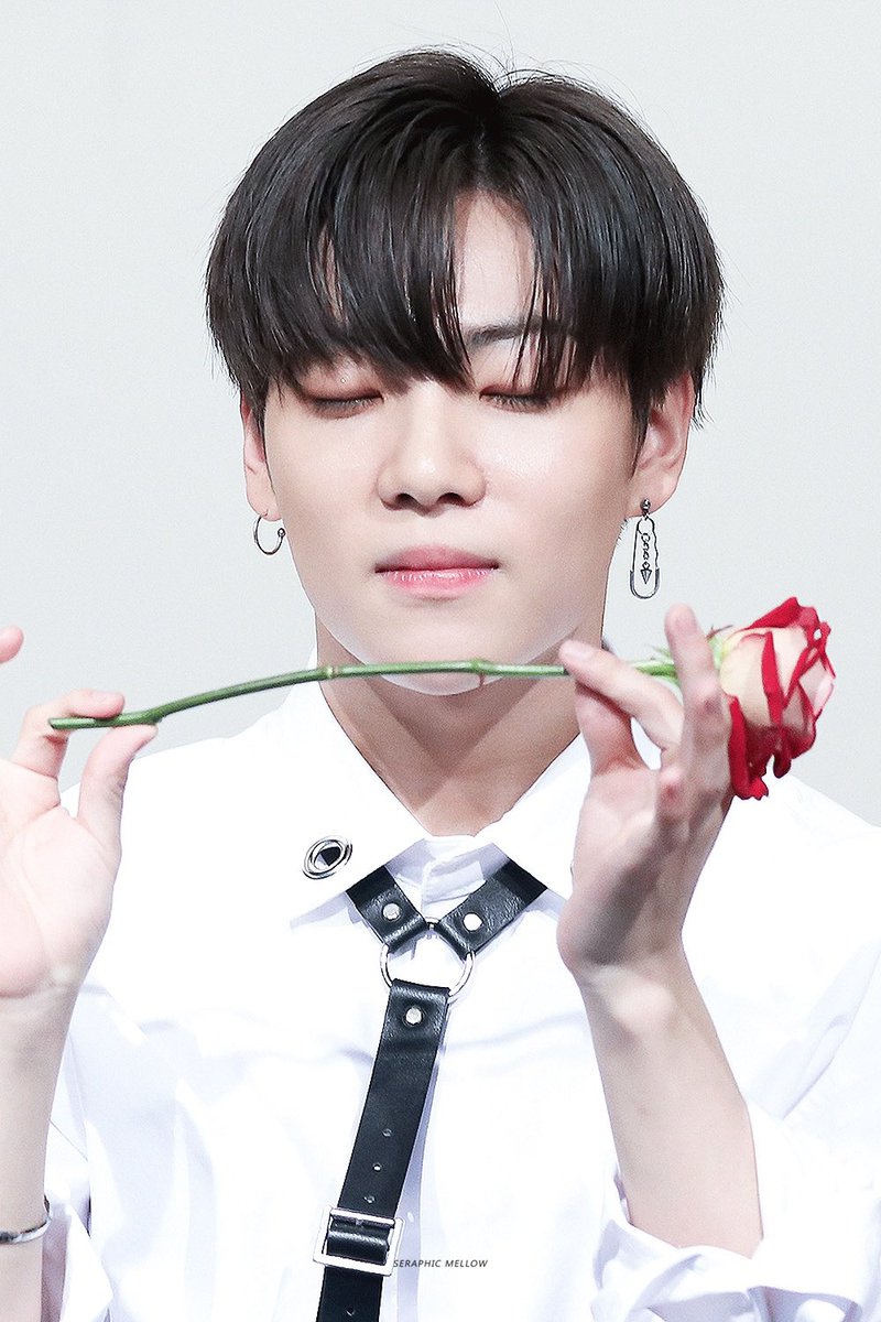 seraphicmellow's tweet photo. 🌹

#이션 #이창윤 #ETION 
#ONF #ONOFF #온앤오프 https://t.co/CcQRtVrEK3