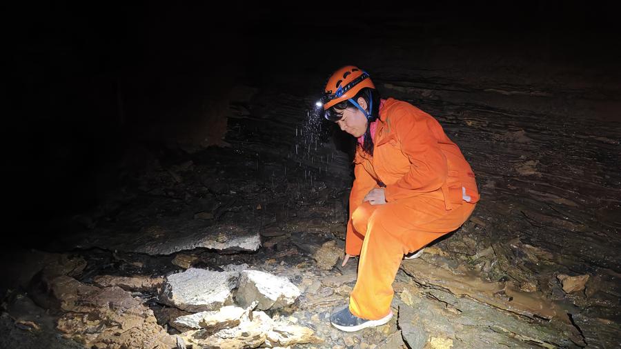 Expertos chinos descubren un yacimiento de fósiles de panda durante una expedición científica en una cueva de la provincia suroccidental china de Guizhou. xhtxs.cn/SLy