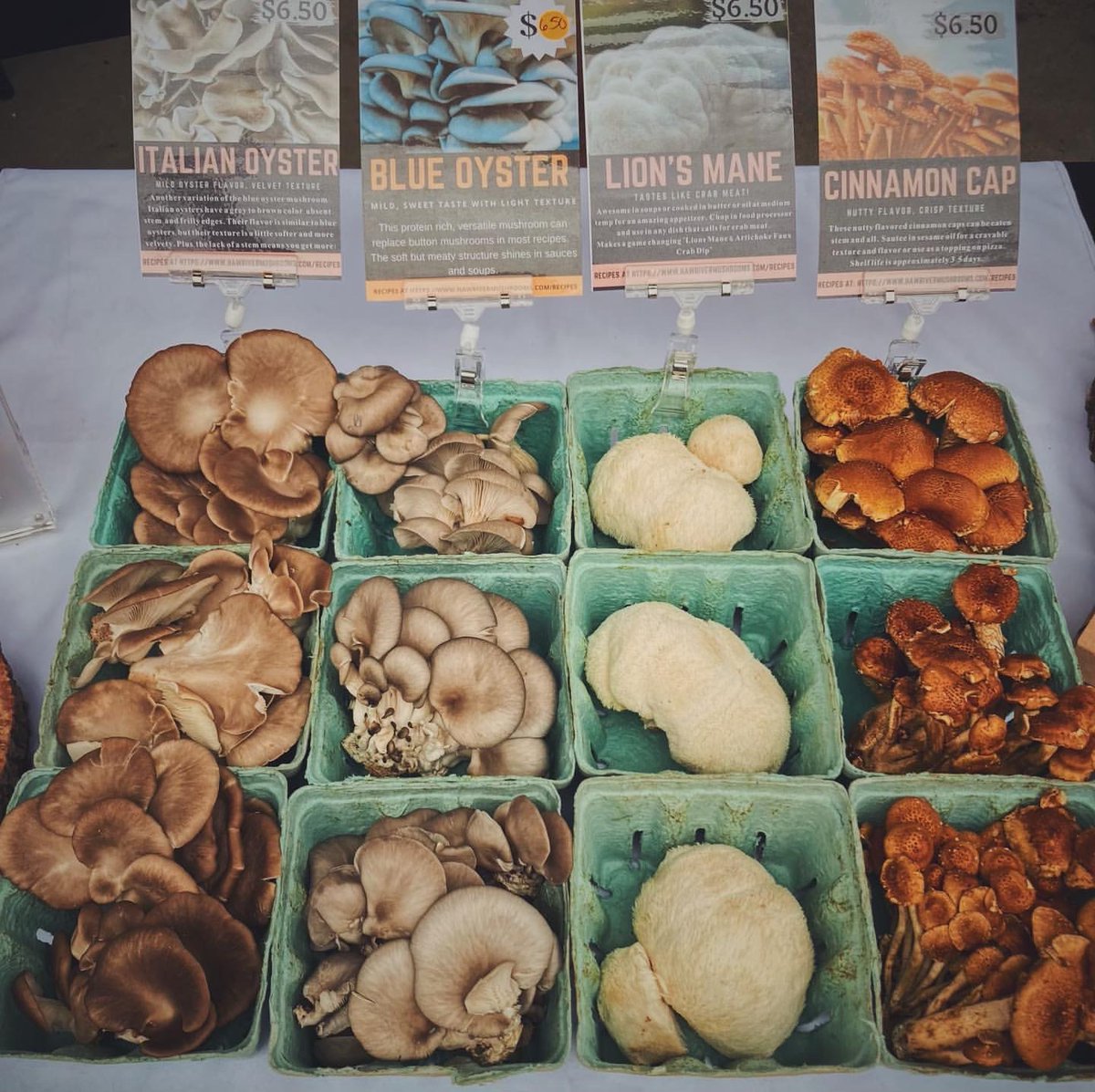 Get ready to frolic through fields, cuddle with critters, and taste the freshest flavors at the Piedmont Farm Tour this weekend! 🌱🐓 Join us at Haw River Mushrooms 🍄and 28 other farms for an unforgettable adventure.

📸: Haw River Mushrooms 
#farmadventures #ncagriculture