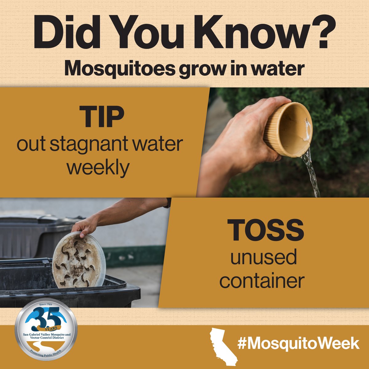 🦟🚫 Don't let mosquitoes ruin your summer fun! This week, we're joining forces with public health agencies across California for Mosquito Awareness Week. Take action now and stay informed on how to prevent mosquito bites. #MosquitoAwarenessWeek #FightTheBite #CityofRosemead