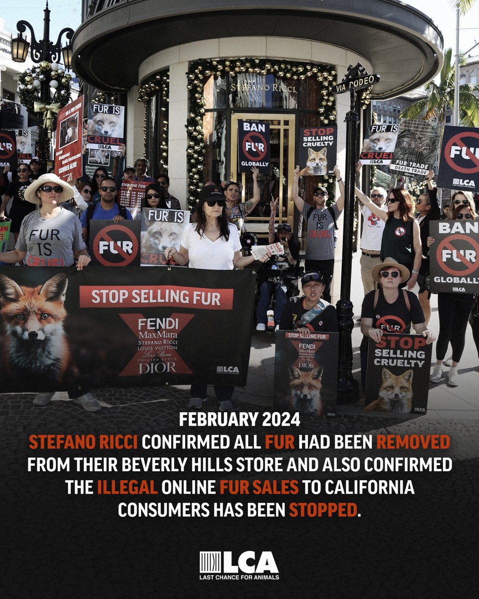 Do you know of a store or website selling new fur in California? Send an email to whistleblower@lcanimal.org #BanFurGlobally #AnimalCrueltyAwarenessWeek #AnimalCrueltyPreventionMonth