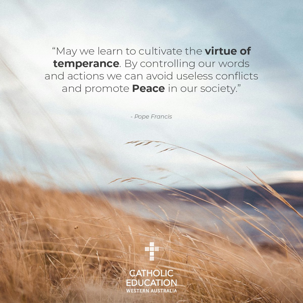 Catholic Education WA (@catholicedwa) on Twitter photo  Catholic Education WA (@catholicedwa) on Twitter photo