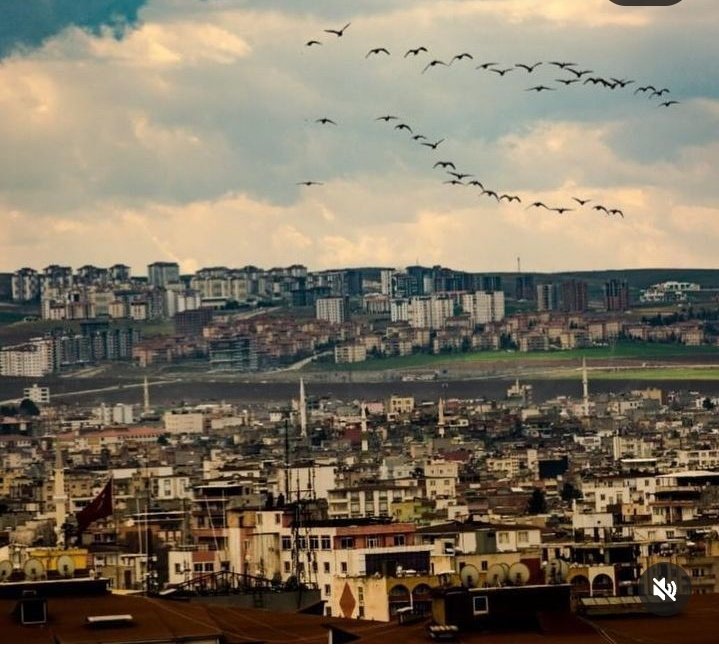 'Münafıka en ağır gelen namaz; yatsı ve sabah namazlarıdır. Eğer bilseydi o iki namazda ne var? Sürünerek dahi olsa onun ikisine gelirdi “Kim sabah namazını kılarsa o, Allah’ın himayesindedir.” Hz Muhammed (sav) #Batman #Cuma #hayirlicumalar