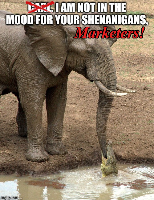ElefunToken's tweet photo. We'll do it without them! We have the COMMUNITY! https://t.co/mEQ5mVGxj2