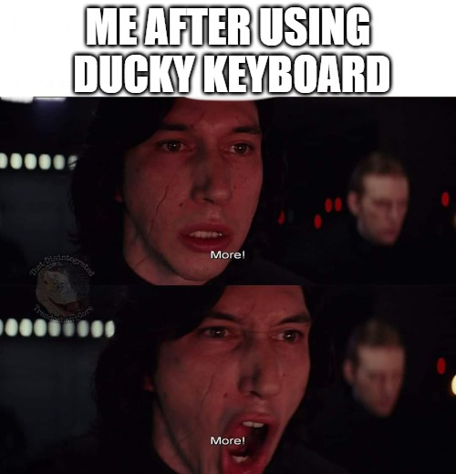 It is reasonable for a person to have several Ducky Keyboards. #duckychannel #meme #one3 #funny #joke #mechanicalkeyboard #classic #gaming