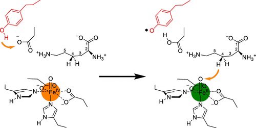 An Active Site Tyr Residue Guides the Regioselectivity of Lysine Hydroxylation by Nonheme Iron Lysine-4-hydroxylase Enzymes through Proton-Coupled Electron Transfer @J_A_C_S #Chemistry #Chemed #Science #TechnologyNews #news #technology #AcademicTwitter pubs.acs.org/doi/10.1021/ja…