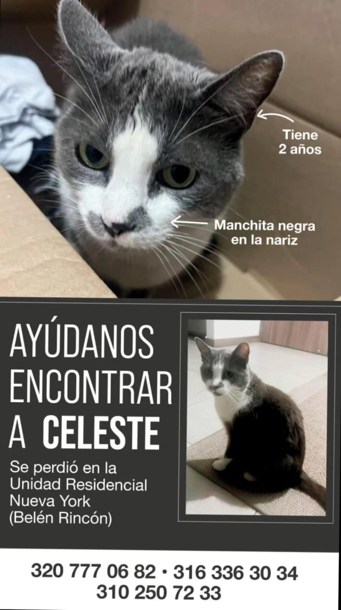 <a href="/BelenInforma/">Belén Rincón - Informa</a> por favor agradecemos su ayuda en la difusión en todos sus medios 🙏