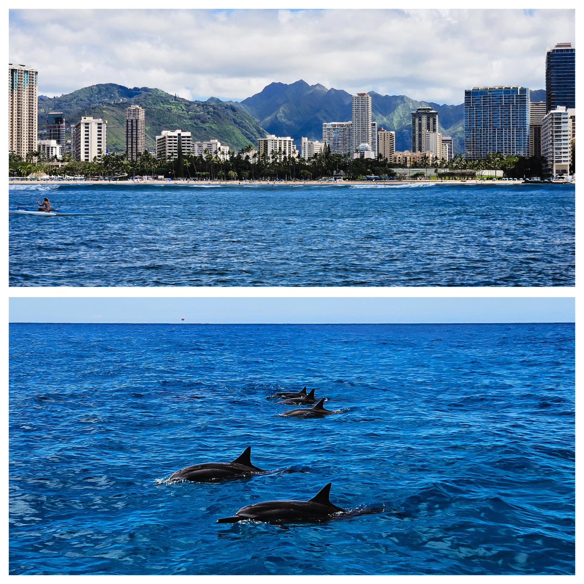 DarykChilds's tweet photo. First ever and much needed Hawaii trip!

Such a fun group 🌈

#gaycouples #japanesegay #seattlegay #gayjapan
#lgbtq #loveislove #同性結婚 #同性婚 #夫夫 #国際ゲイカップル #ゲイカップル #ゲイ #東京ゲイ #同性愛  #husbands #gaymarriage https://t.co/lpVAUkZ3Ik