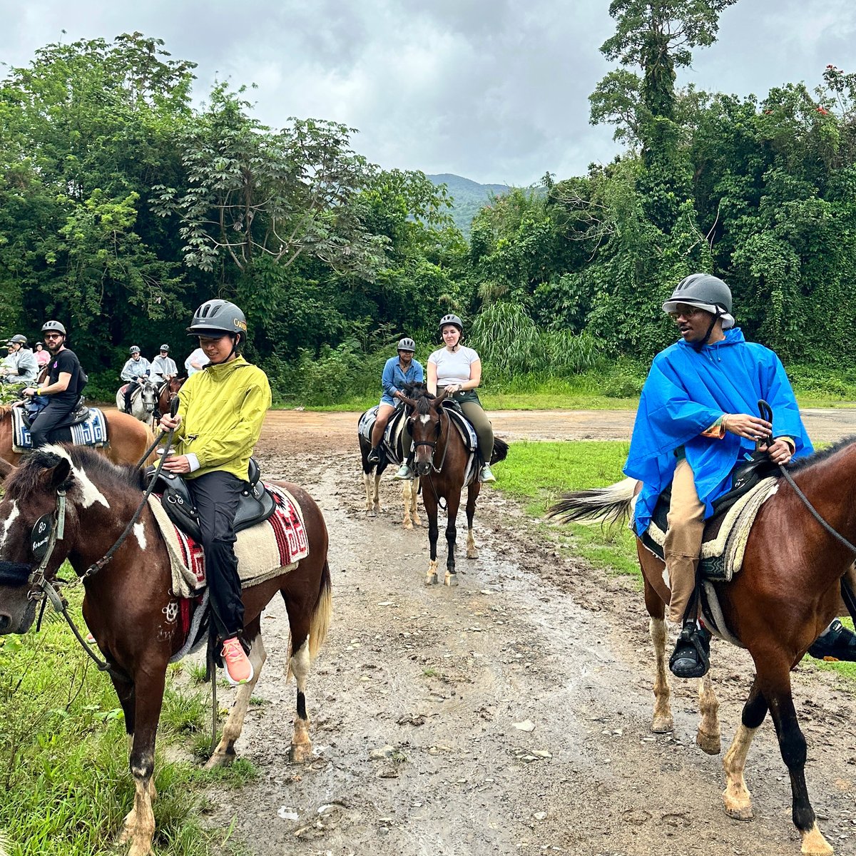 Scenes from another incredible #TeamArthur offsite, this time in Puerto Rico! 📸💜🏝️ We’re grateful to have been able to unplug for a few days of team building, knowledge sharing, go-karting, horseback riding, ATVing, and so much more. Feeling motivated and excited for all