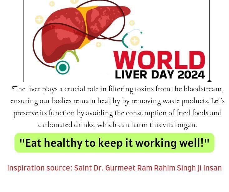 A healthy liver helps keep your brain healthy. Liver is an important organ that performs more than 200 important functions for the body. To prevent liver damage, go vegetarian and stay away from alcohol. Inspiration: Saint Dr MSG Insan.
#WorldLiverDay