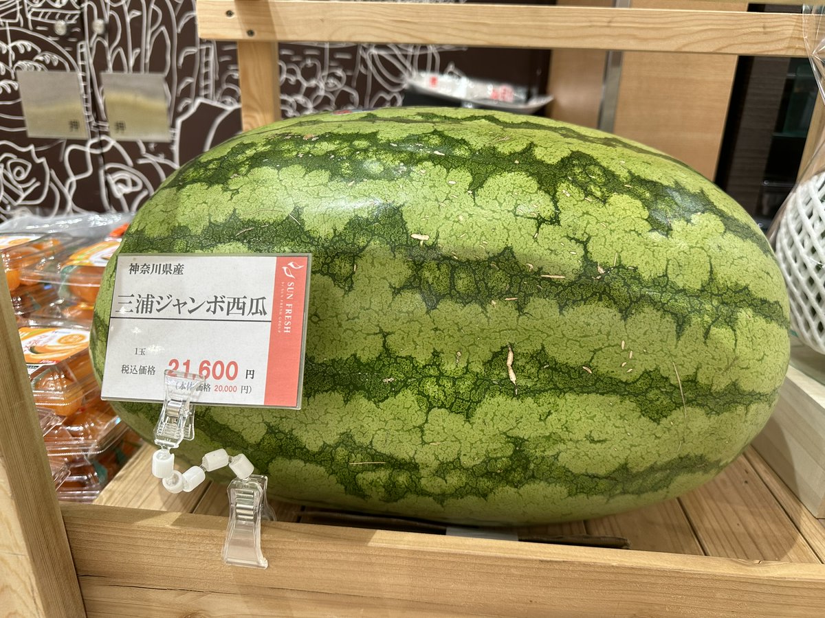 Such a big watermelon!

#Tokyo #Japan #watermelon #jumbo #ジャンボ #familytime #shorttrip #wild