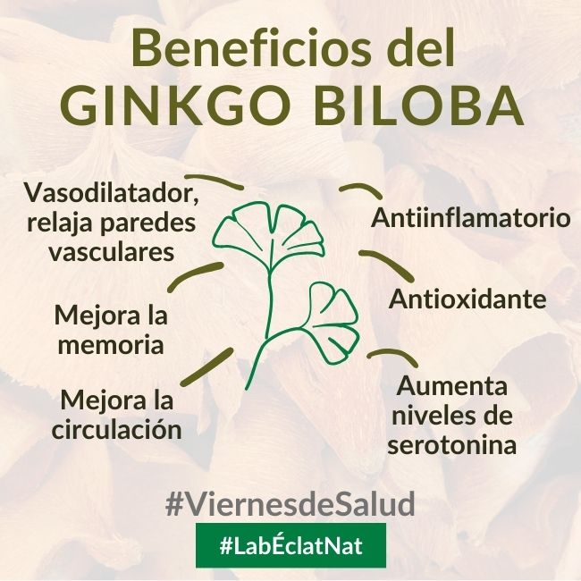 #Beneficios del #ginkgobiloba
-Vasodilatador, relaja paredes vasculares
-Mejora la memoria
-Mejora la circulación
-Antiinflamatorio
-Antioxidante
-Aumenta niveles de serotonina
eclatlab.com/es/productos/g…
#labéclatnat #cosmetica #extracto #LaboratorioÉclat