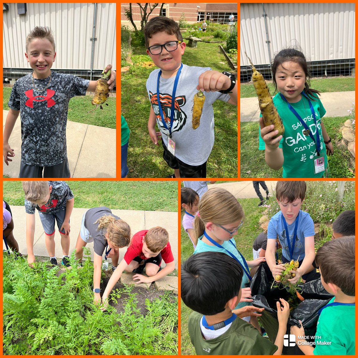 Kristy Michel tweet media