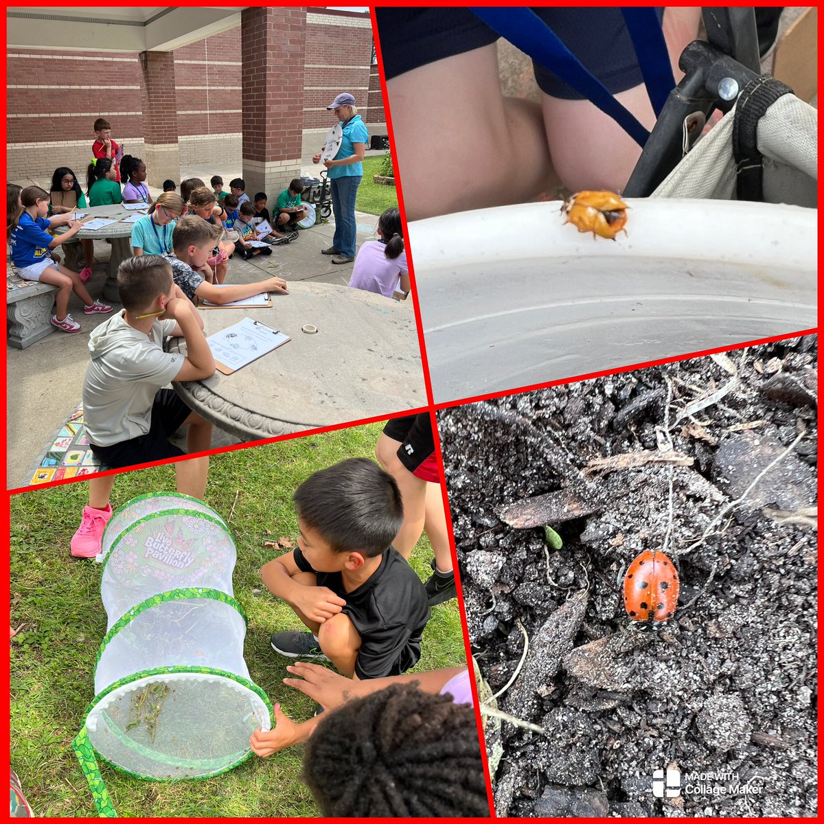 Kristy Michel tweet media