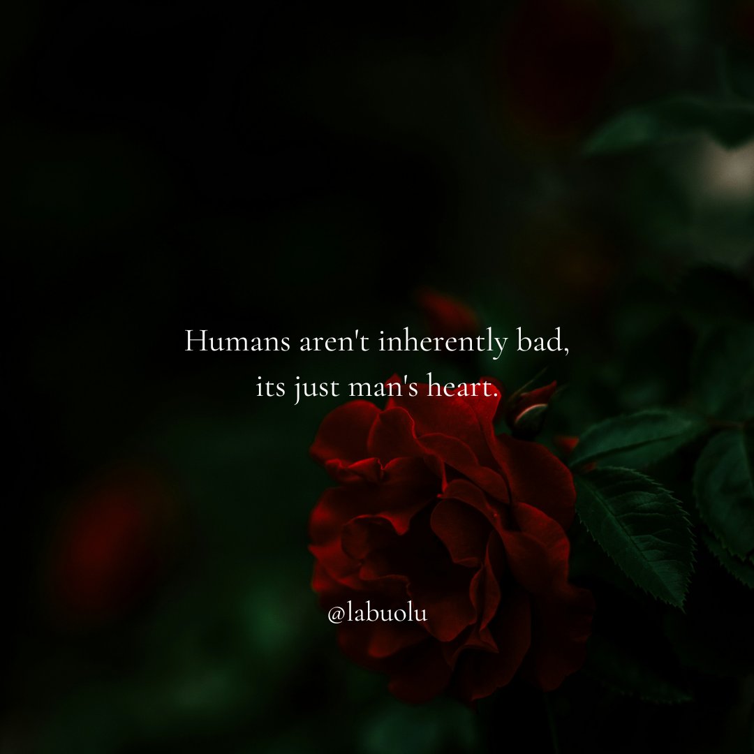 The Human Heart
#quote #quotes #deepquotes #phylosophy