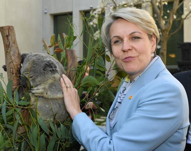 Ben Pennings tweet media