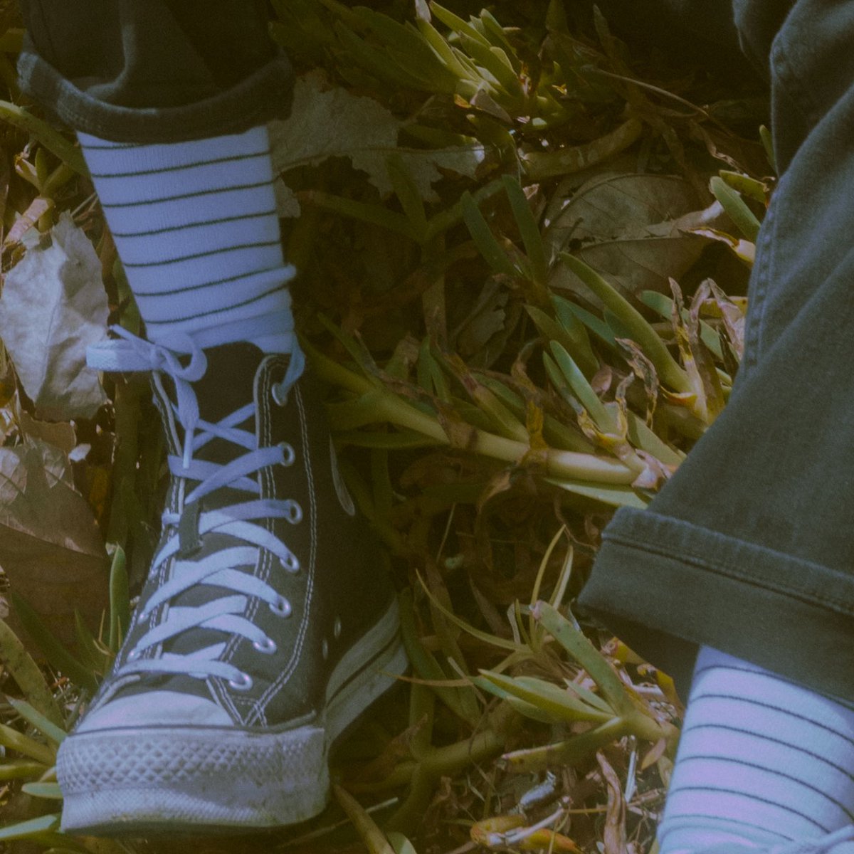 thepapercutouts's tweet photo. HEY our new song "Escaping LA" will be out on saturday and u can presave it RIGHT NOW!!!

be there or be square

https://t.co/rylQ1UAx8F https://t.co/fcgtfn028Y