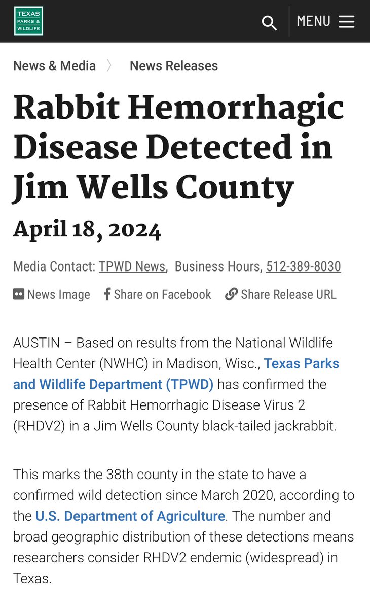 Texas Parks & Wildlife Department announces 1st 2024 RHDV2 confirmation in a Jim Wells County black-tailed jackrabbit. 38th Texas County since RHD outbreak began in spring 2020 ➡️bit.ly/3xEuaCC
@micheltkohl @houserabbit @TPWDnews @USGSWILDLIFE @WorldLagomorph
