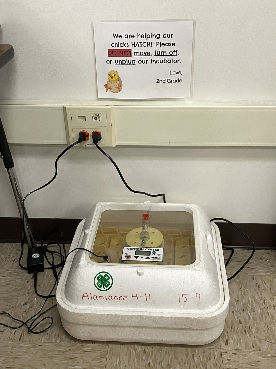 Let the fun begin! #embryology #chickenmama