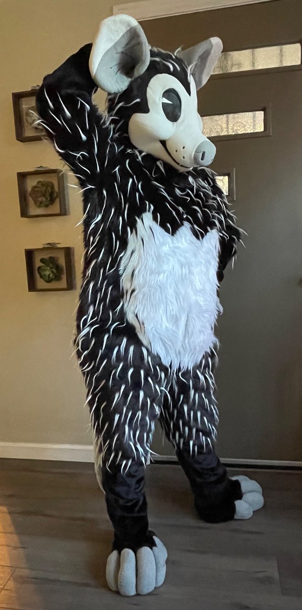 h3ize's tweet photo. 🚨DO YOU OR SOMEONE YOU KNOW NEED A FURSUIT FOR FWA???🚨

I am selling a gently used, like new possum full suit made by @lobitoworks for my friend who is ready to give them a new home!! Art &amp; character included. Details below 👇 👇 https://t.co/jhhGiNDxUZ