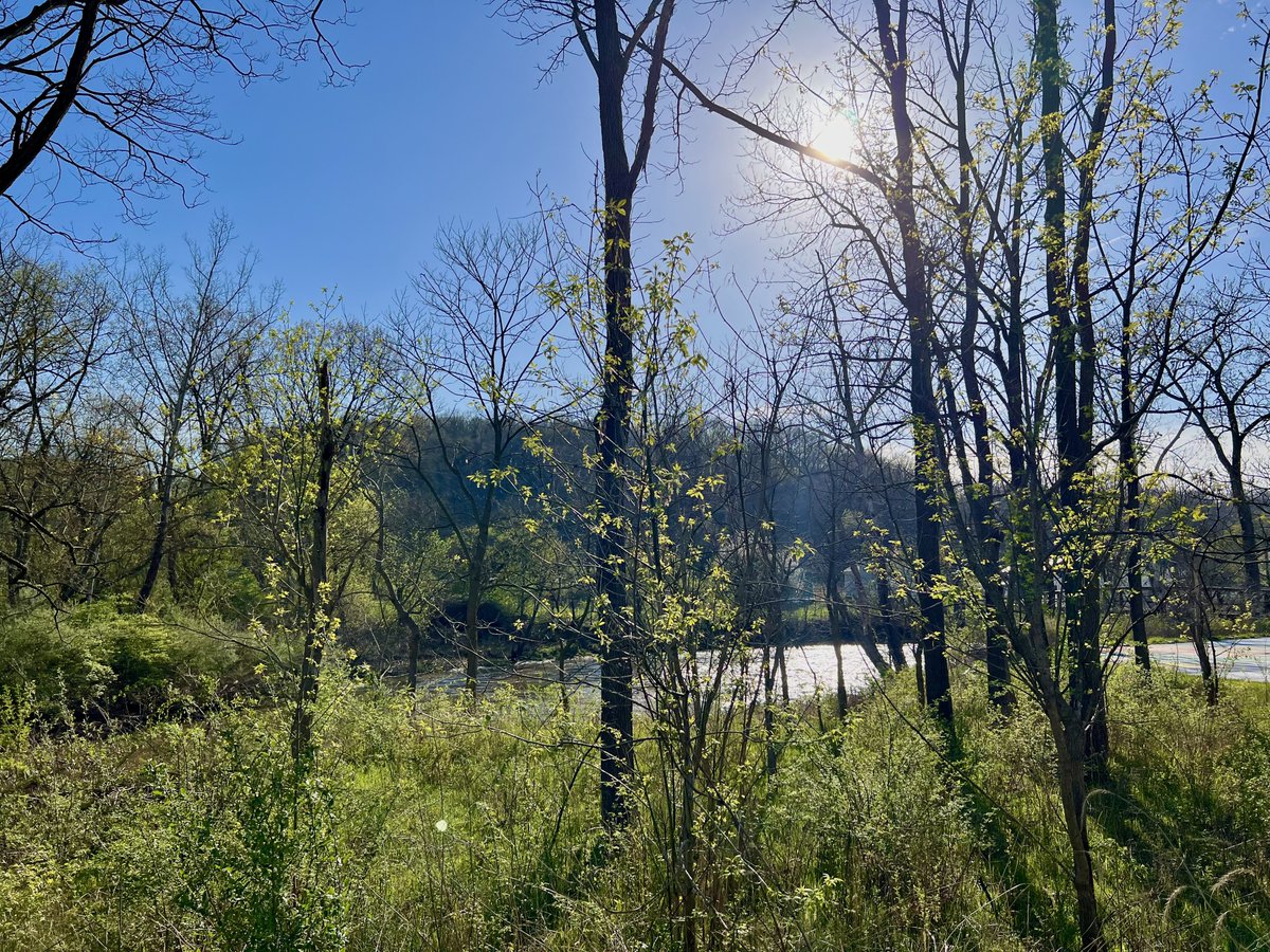 Allentown1711's tweet photo. Gahhh β¦.. such a gorgeous day for a ride! π΄π»ββοΈπ΄π»ββοΈπ΄π»ββοΈβοΈππ»ππ»ππ»
#SpringHasSprung #BikeLife #AprilMiles #AprilShowersBringsMayFlowers #PoweredByAssNotGas #Thankful #cycling #DubaiFlooding #CVNP #OhioandErieCanalTowpathTrail #110MilesandCounting https://t.co/SeQkHvrFES