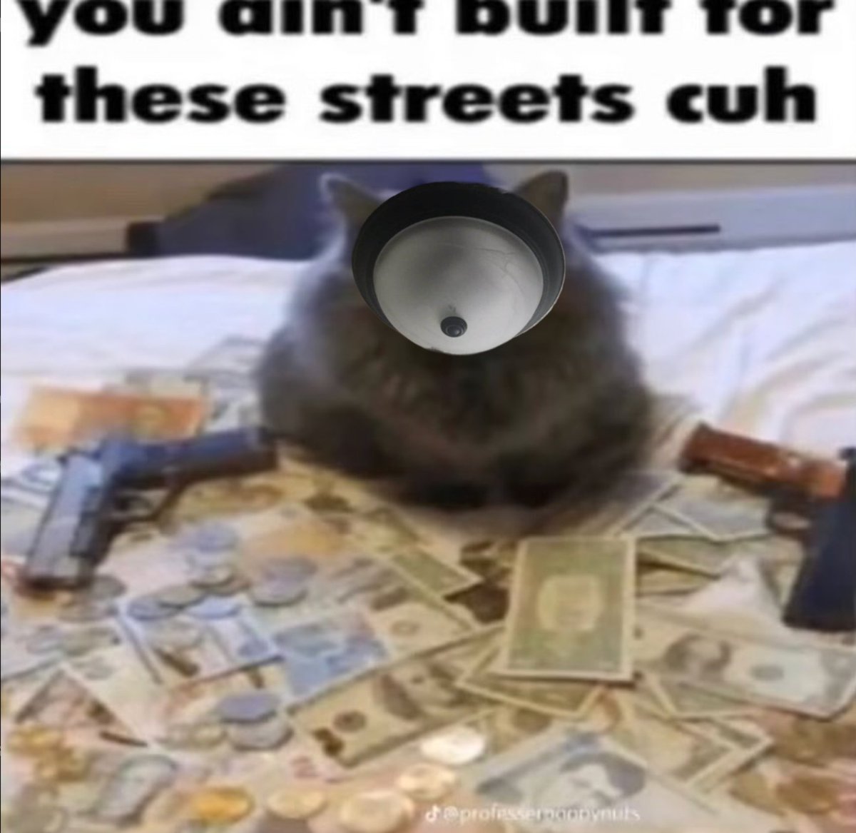 ceiling__titty's tweet image. 