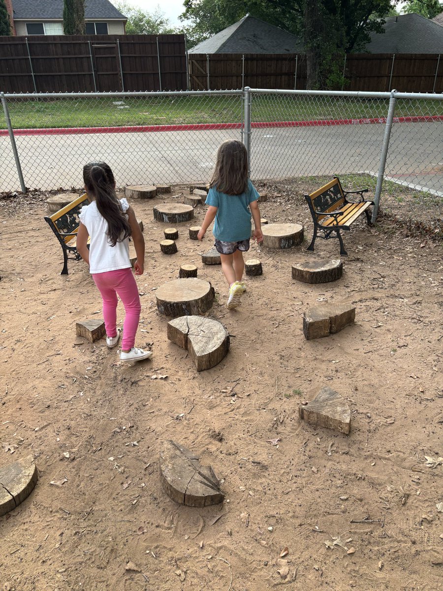 You can cut down the fallen trees, but these trees live on…
#lisdpk