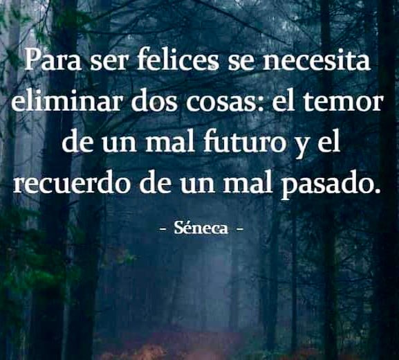 “Para ser felices se necesita eliminar dos cosas: el temor de un mal futuro y el recuerdo de un mal pasado”. Séneca #Estoicismo #TodosSomosUno