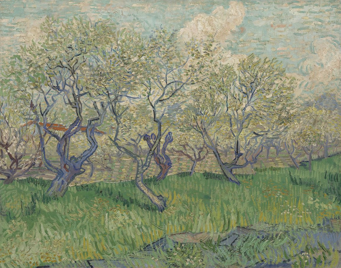 #VanGogh of the Day: Orchard in Blossom, April 1889. Oil on canvas, 73.2 x 93.1 cm. Van Gogh Museum, Amsterdam. @vangoghmuseum