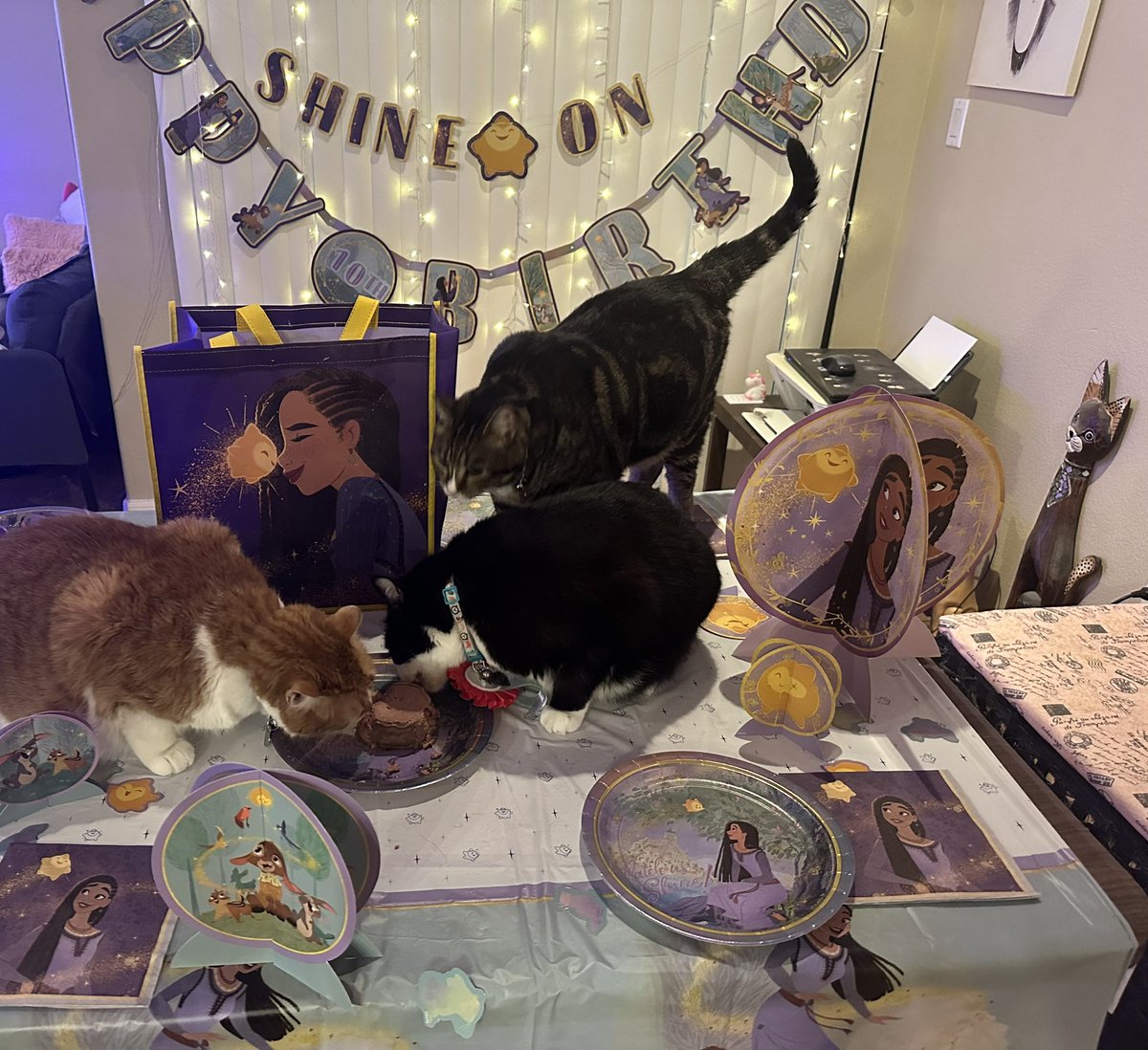 oreokittykat's tweet photo. Hello friends 😸 We are having a lot of fun today because it is Oreo’s 10th birthday! 🎉 🎂🥳🎈 Please help us wish Happy Birthday to the birthday girl 😸 #birthdaygirl #birthdayparty #CatsOfTwitter https://t.co/sLLTzyIZNF