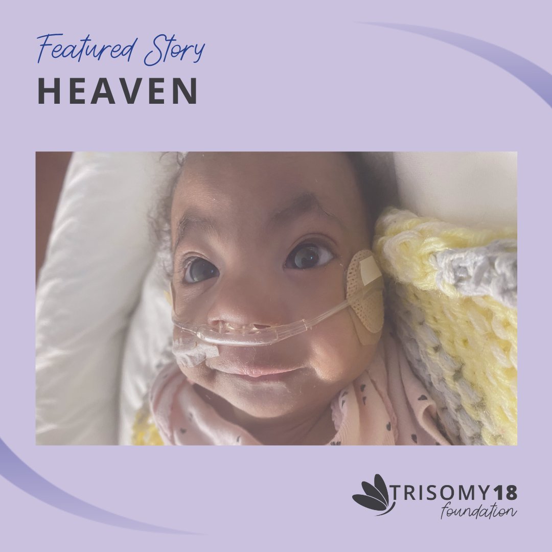 A mother writes of how doctors told her her daughter wouldn’t make it after birth, but she proved them wrong. 'My baby was a fighter she fought up until the 10th of March, that’s when she took her last breath.' Read Heaven's story. trisomy18.org/story/heaven/