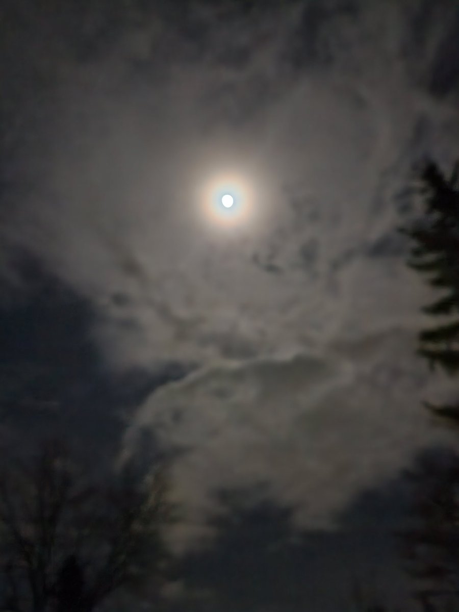 SunnyBee42069's tweet image. Truth becomes objective when an AI confirms human perception. #objectivetruth